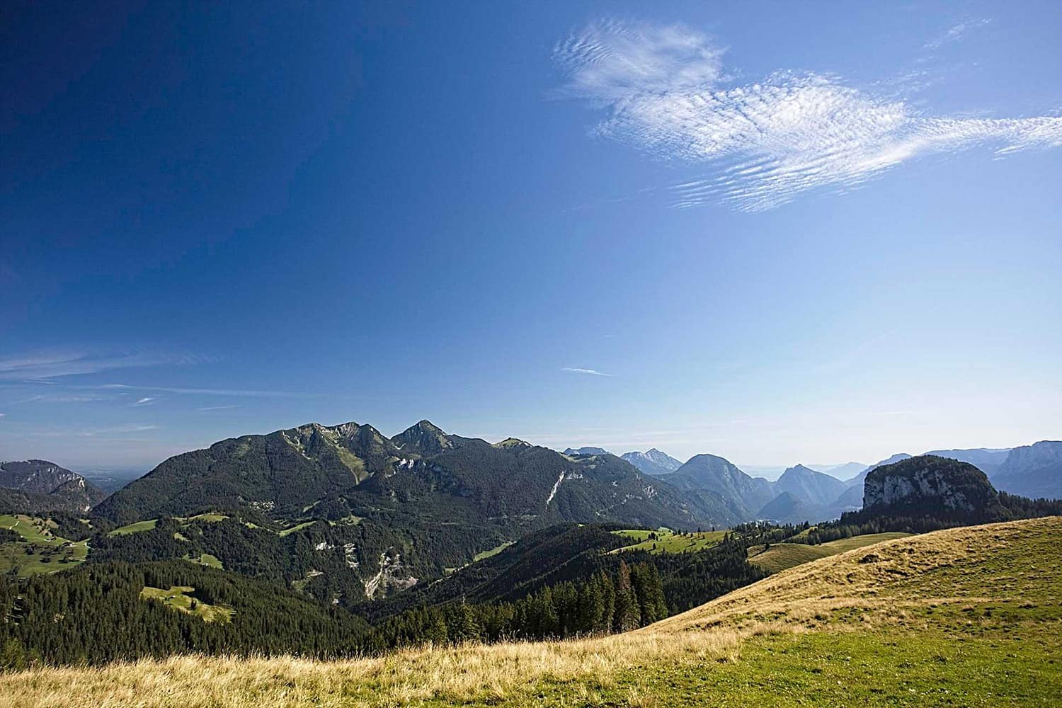 saalachtalloferer-alm.jpg