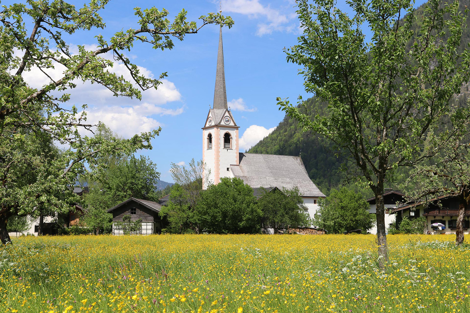 stmartin-kirche-blume-fruhling-sommer-saalachtal-6890.jpg